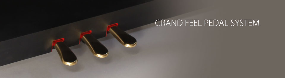 CS7 Grand Feel Pedal System