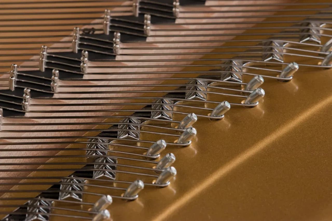 Duplex Scailing Large