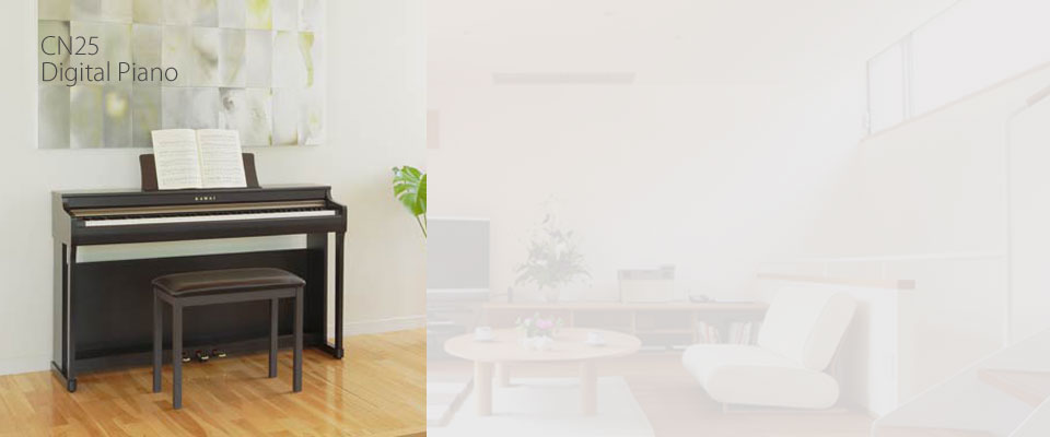 Kawai CN25 Digital Piano