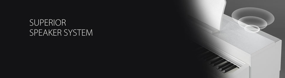 Kawai CN37 Superior Speaker System