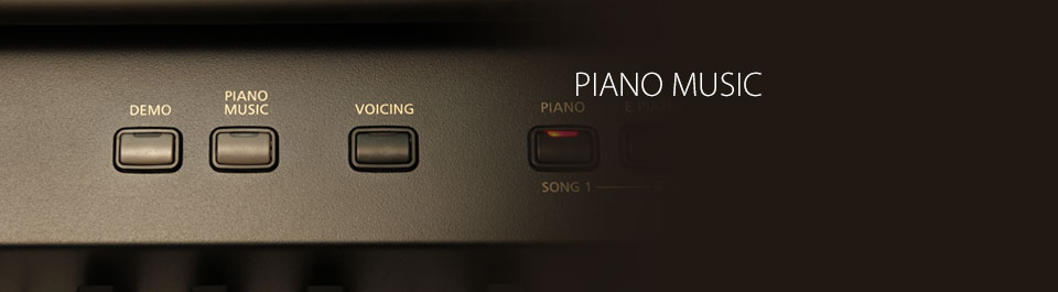 Kawai CE220 Piano Muisic