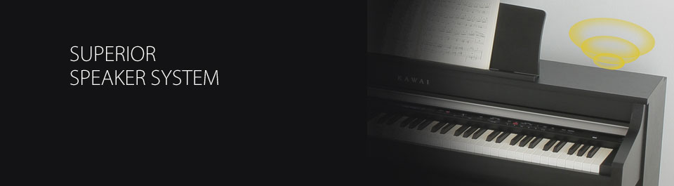 Kawai CN35 Speaker System