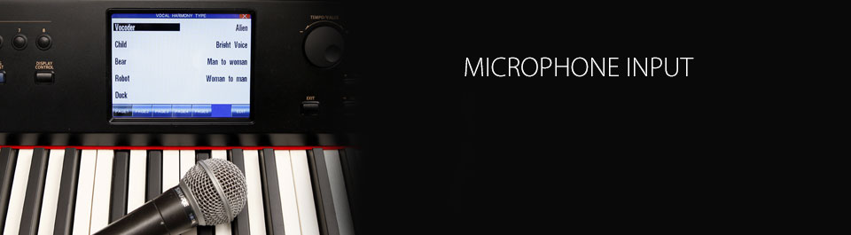 Kawai CP1 Microphone Input