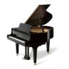 GL20 Polished Ebony